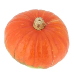 Courge Bonnet Turc Bio