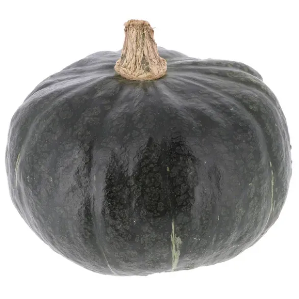 Courge Buttercup Bio