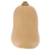 Courge Butternut Bio