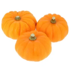 Courge Jack Be Little Bio