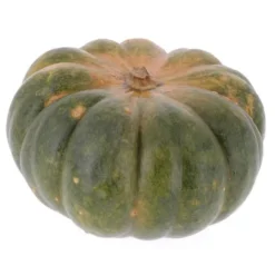 Courge Musquée Bio