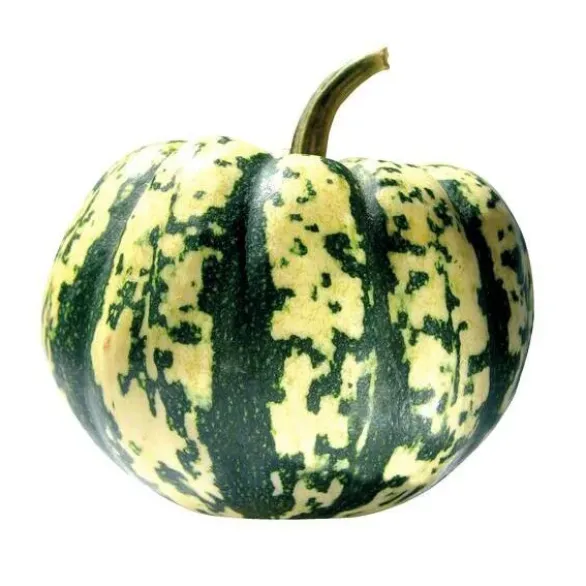Courge Patidou Bio