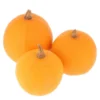 Courge Pomme d’Or Bio