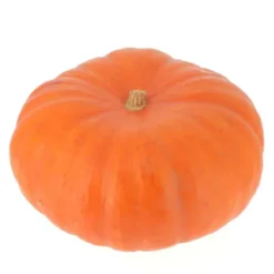 Courge Potiron Rouge d’Etampes Bio