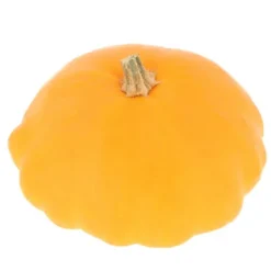 Courge Pâtisson Bio