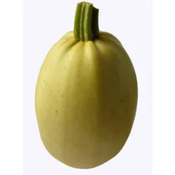 Courge Spaghetti Bio