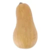 Courge Sucrine du Berry Bio