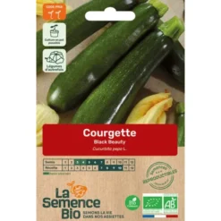Courgette Black Beautysemence 3g