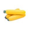 Courgette Longue Jaune Bio