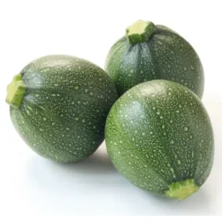 Courgette Ronde Verte Bio