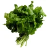 Cresson botte Bio