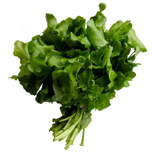 Cresson botte Bio