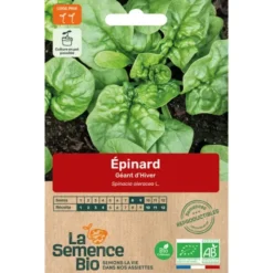 Epinard Géant d'Hiversemence 7,5g