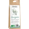 Eucalyptus feuille 50g