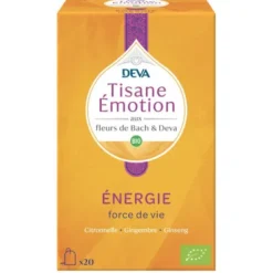 FDB Energie tisane infusette (20) 32g
