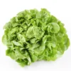 Feuille de Chêne Blonde (pièce) Bio