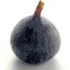 Figue Noire, Violette Bio