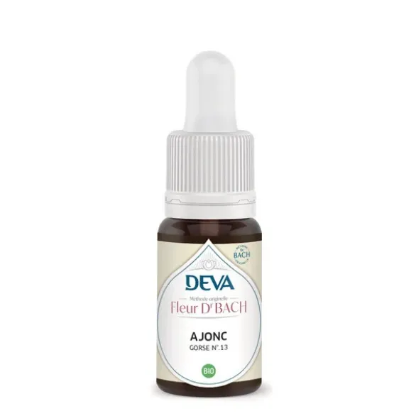 Fleur de Bach Ajonc N°13 15ml