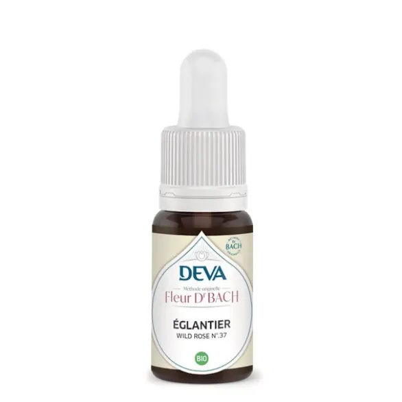 Fleur de Bach Eglantier N°37 15ml