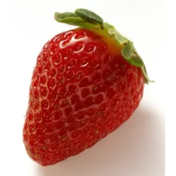 Fraise Aromatique 250 gr Bio