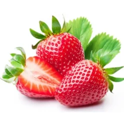 Fraise Ronde 250 gr Bio