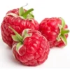 Framboise Barquette 250 gr Bio