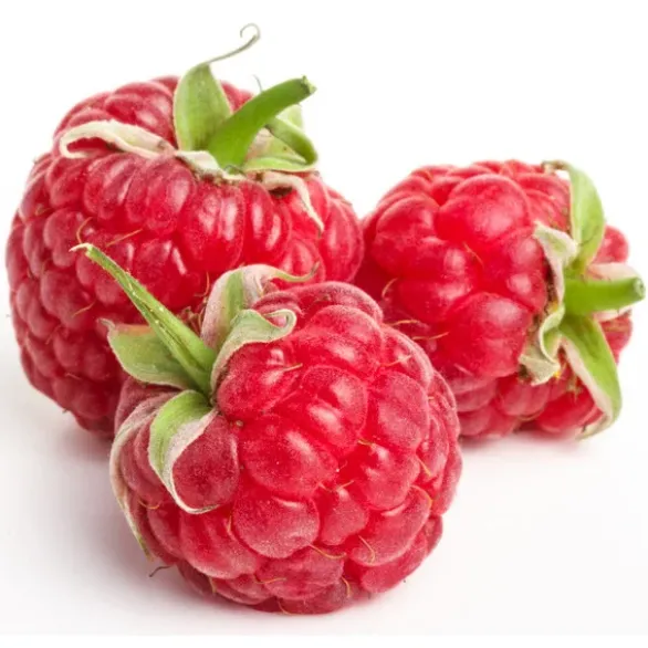 Framboise Barquette 250 gr Bio