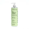 Gel nettoyant purifiant 400ml