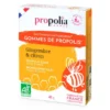 Gomme propolis citron gingembre 45g