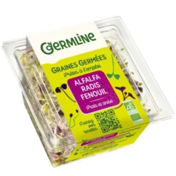 Graine germée alfalfa radis fenouil 60g