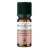 HE Muscade noix 10ml