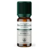 HE Niaouli 10ml