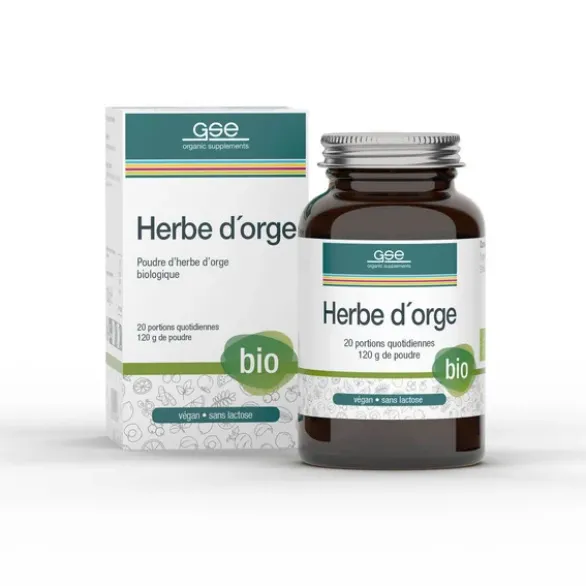 Herbe d'orge en poudre