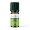 Huile essentielle de livèche 5ml