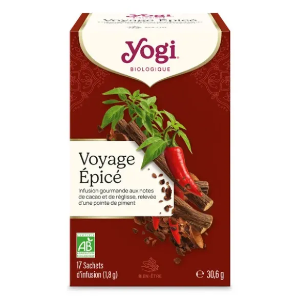 Infusion voyage épicé 17x1,8g