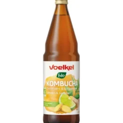 Kombucha citron vert gingembre 75cl