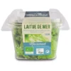 Laitue de mer 120g