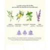 Le Grand Guide des Huiles Essentielles