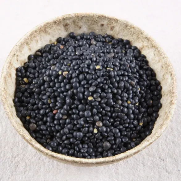 Lentilles beluga Bio