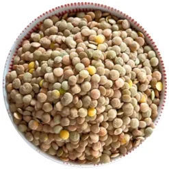 Lentilles blondes Bio