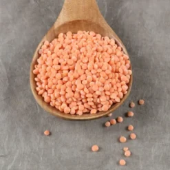 Lentilles corail France Bio