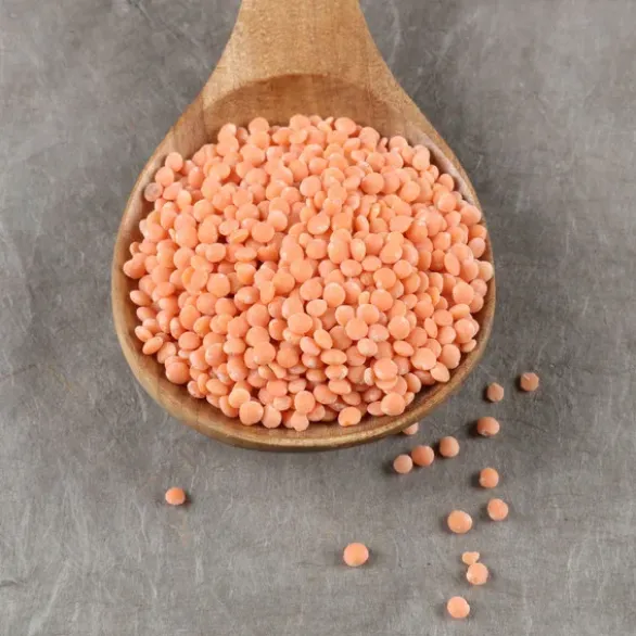 Lentilles corail France Bio