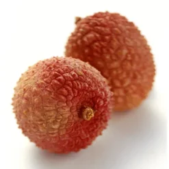 Litchi Bio