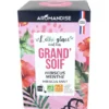L'Éthé Glacé Grand' Soif hibiscus menthe 20x2g