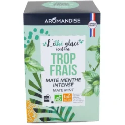 L'Éthé Glacé Trop Frais maté menthe intense 20x1,6g