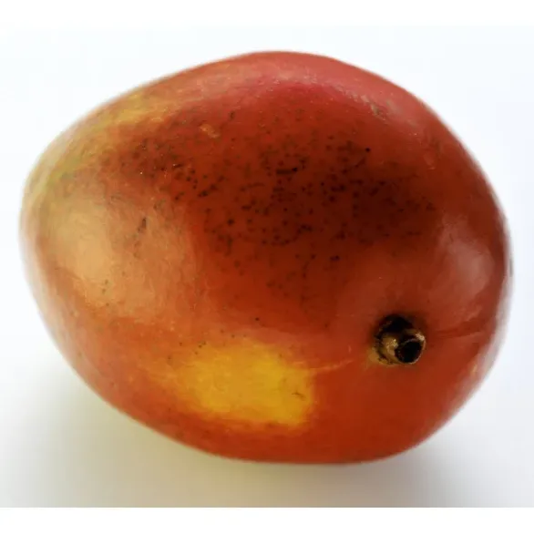 Mangue (pièce) Bio