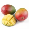 Mangue sauvage Bio