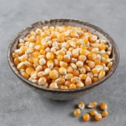 Maïs pop corn France Bio