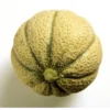 Melon Brodé Bio