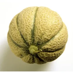 Melon Brodé (pièce) Bio